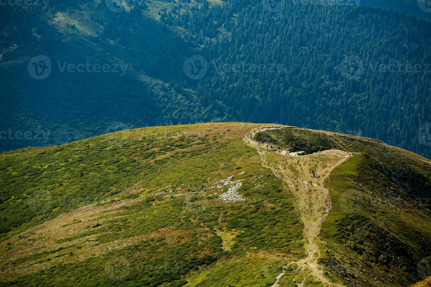 Summer landscape in the Carpathian mountains. View of the mountain peak Hoverla. Bautiful Ukrainian mountain Carpathian Hoverla. photo