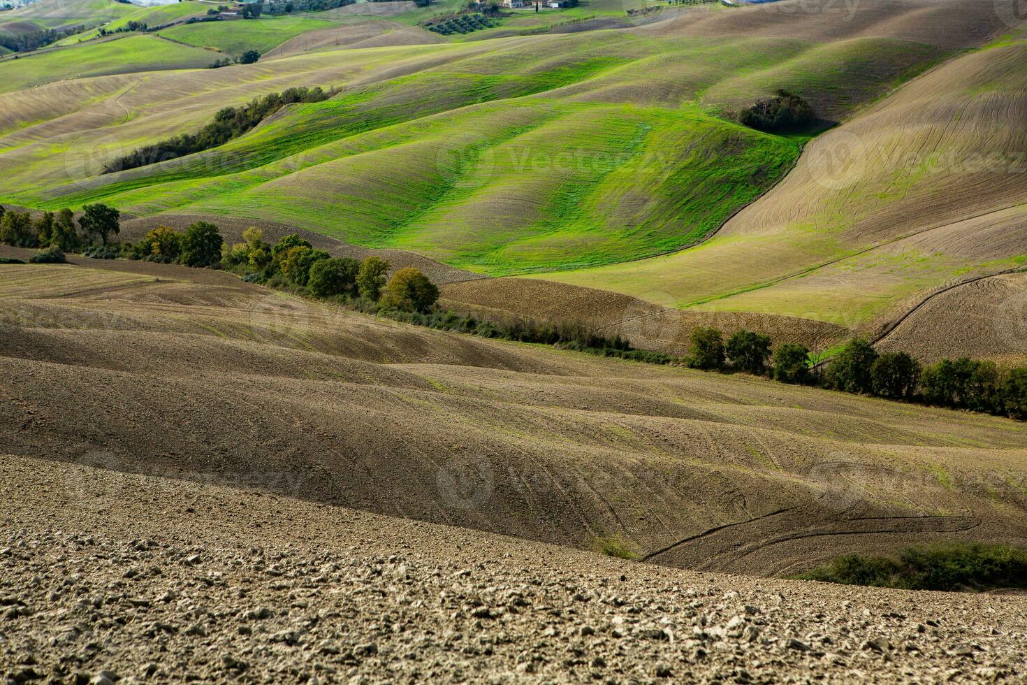 Harvested Fields and meadows landscape in Tuscany, Italy. Wavy country scenery at autumn sunset. Arable land ready for the agricultural season. photo