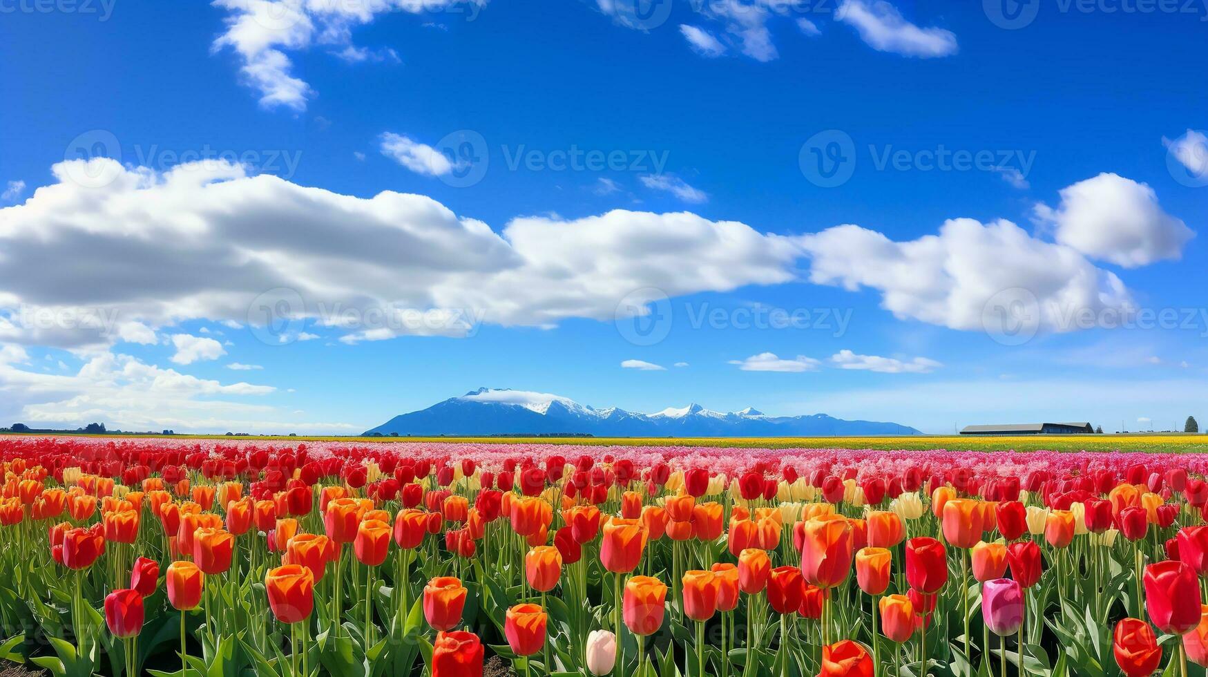 AI generated Spring Tulip Delight Under Blue Sky - AI Generated photo