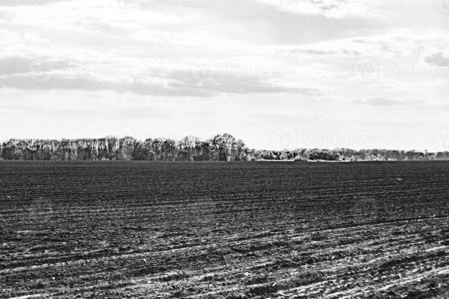 Photography on theme big empty farm field for organic harvest photo