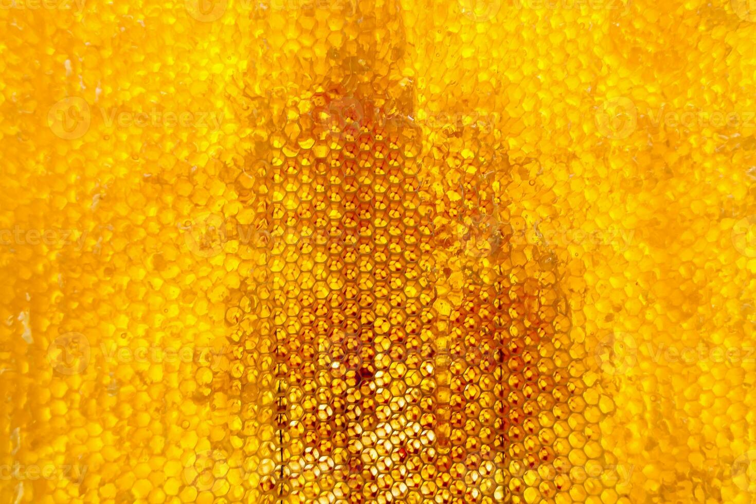 Drop of bee honey drip from hexagonal honeycombs filled with golden nectar photo