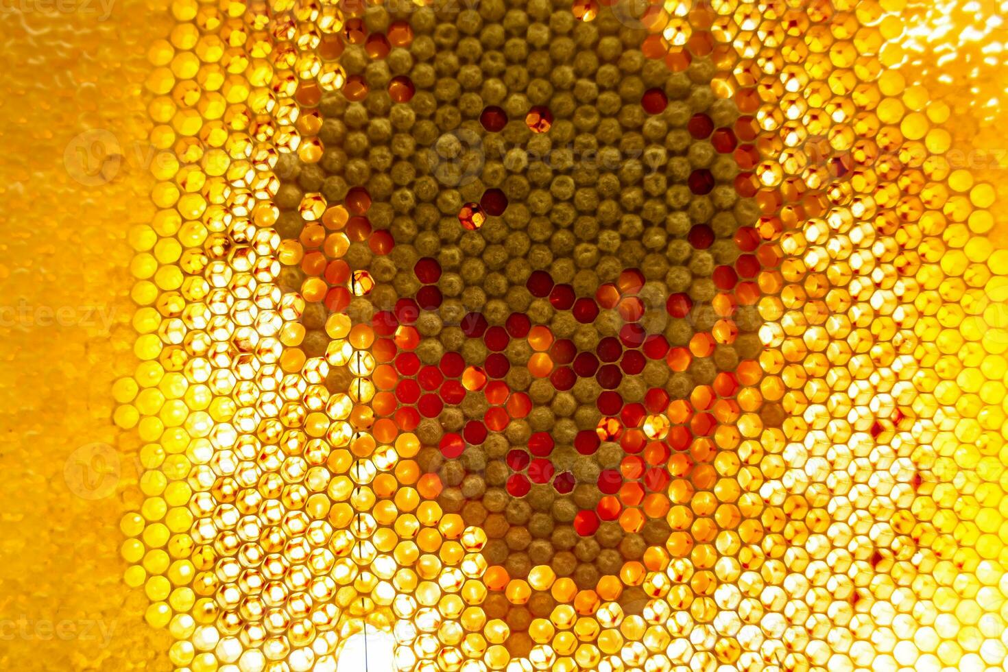 Drop of bee honey drip from hexagonal honeycombs filled with golden nectar photo