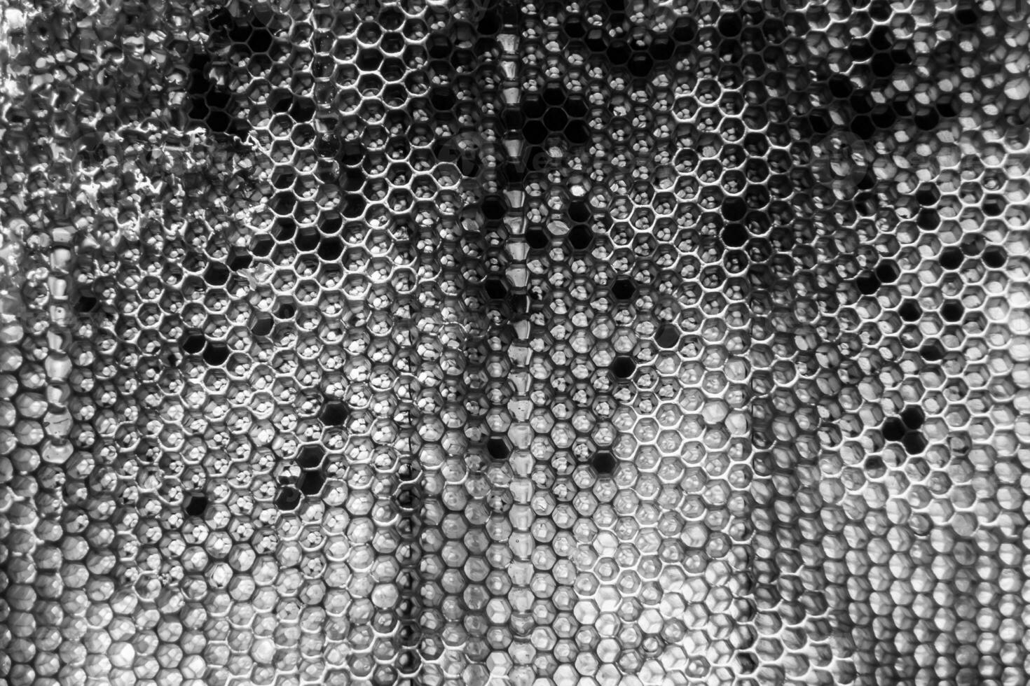gota de goteo de miel de abeja de panales hexagonales llenos de néctar dorado foto