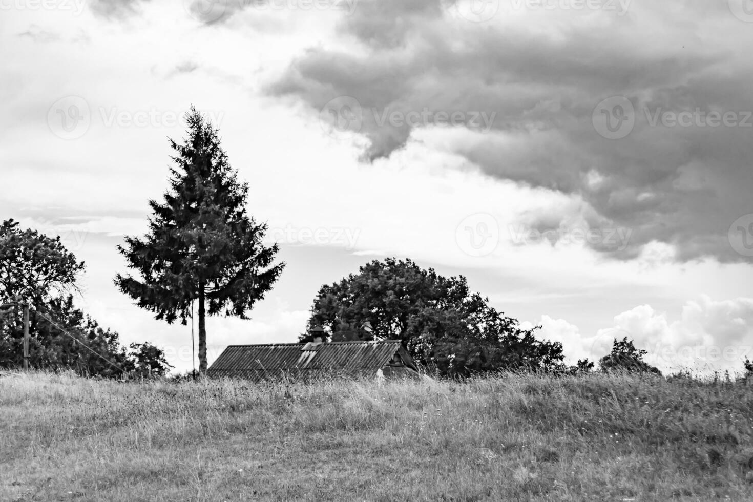 Beautiful horizon scenery in village meadow on color natural background photo