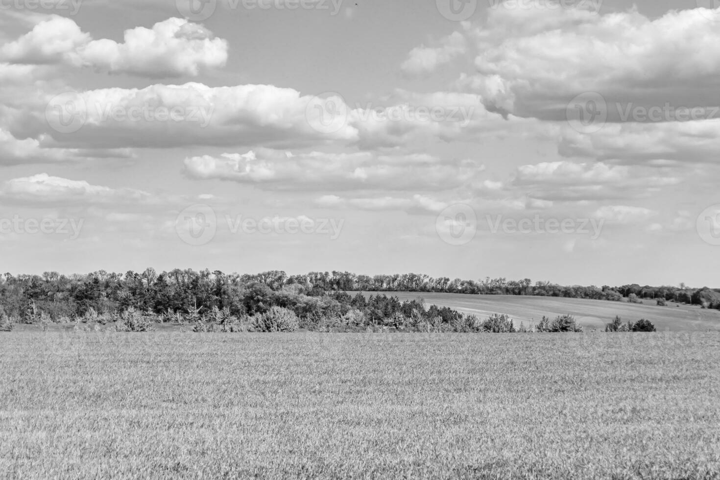 Beautiful horizon scenery in village meadow on color natural background photo