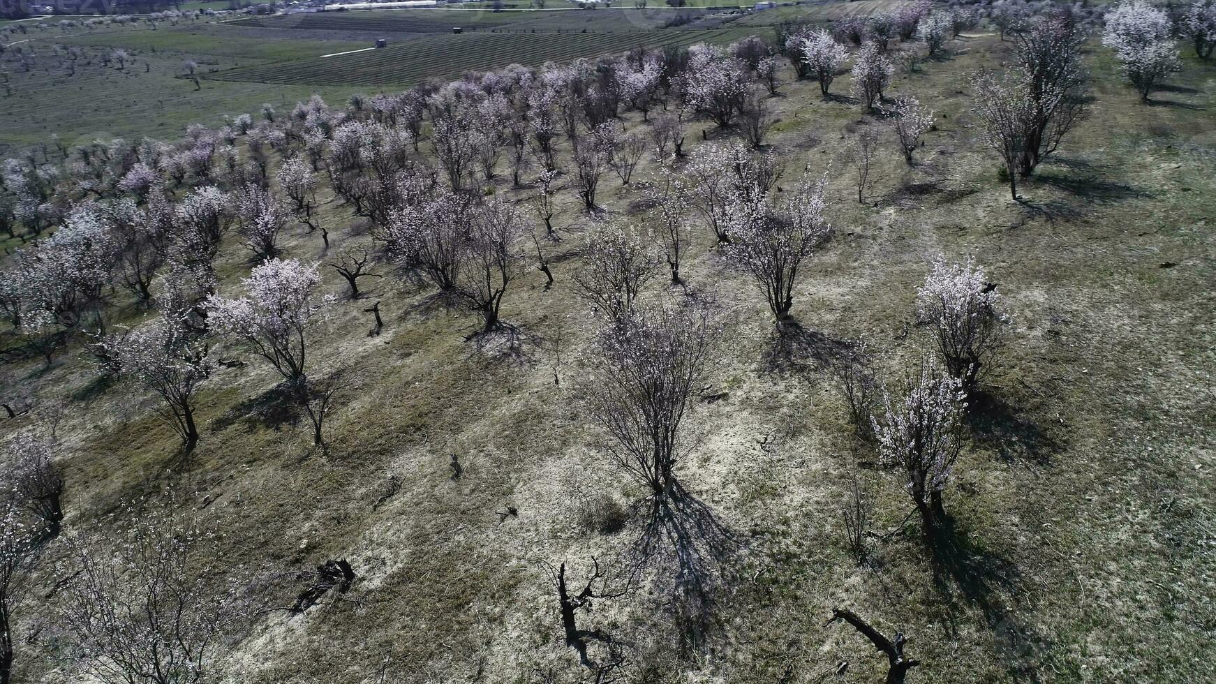 Aerial landscape view of farm land, green fields and rare shrubs on blue cloudy sky background. Shot. Beautiful forested valley and a city located behind it. photo