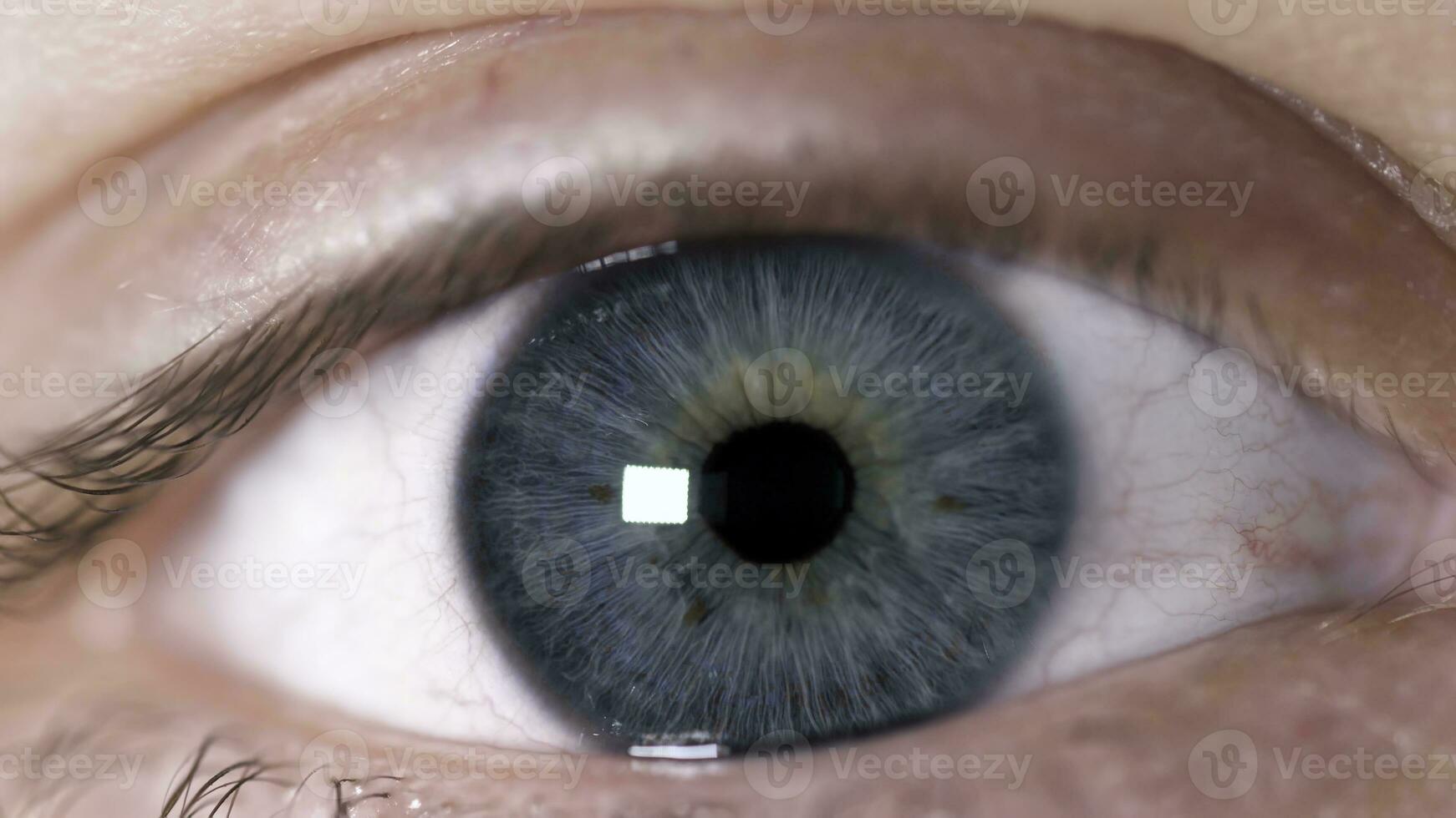 Close-up shot of human eye. Close-up of beautiful human eye blue with brown spots on iris. Reaction of squeezing human pupil in light photo