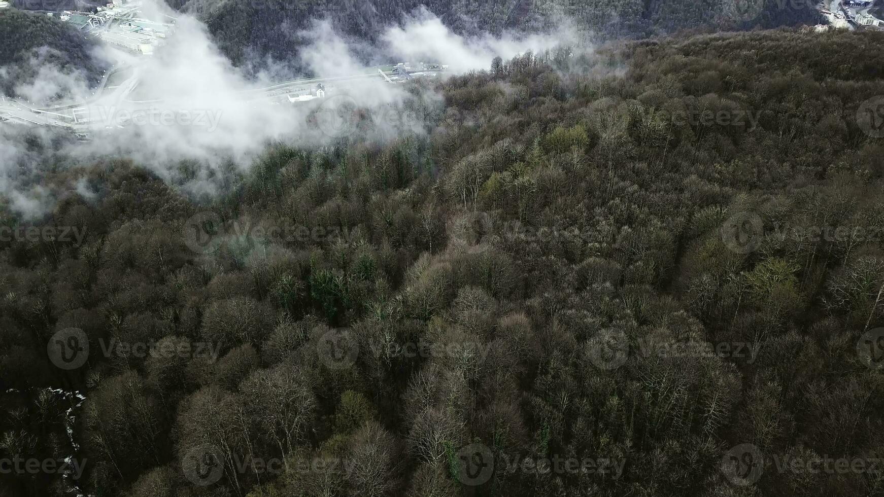 Aerial view of valley and stream in fall season. Stock footage. Autumn forest, trees background with frozen narrow stream, beauty of nature concept. photo