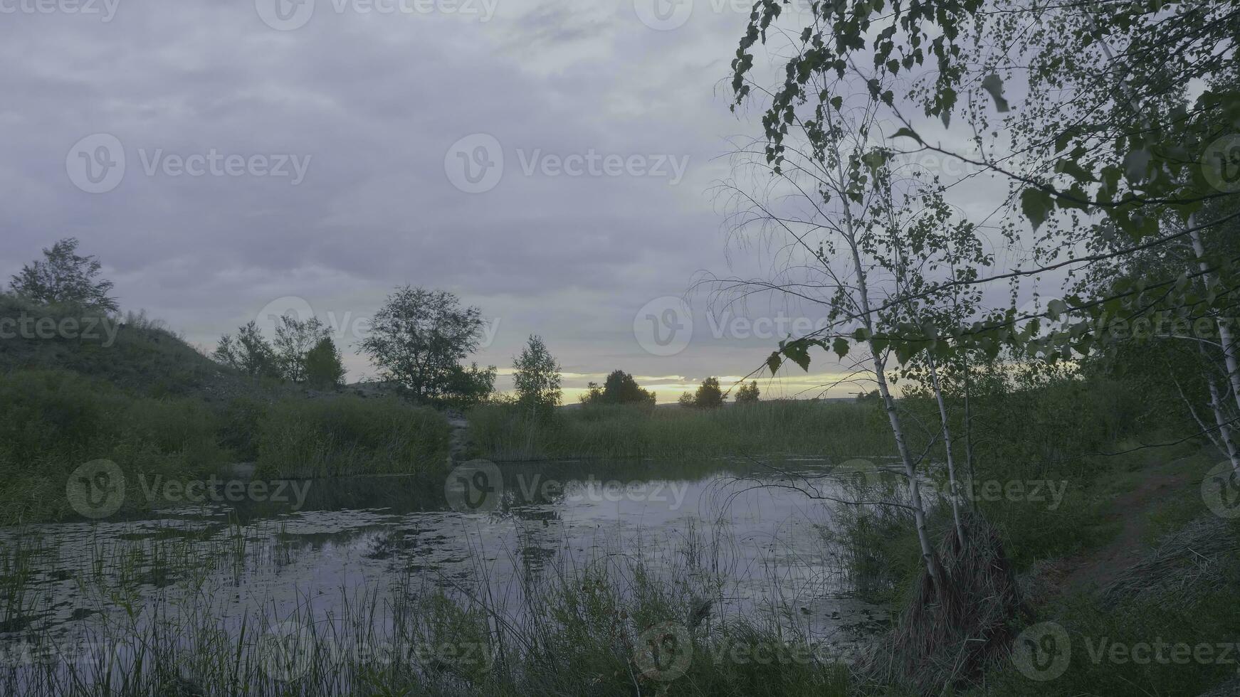 brumoso Mañana en pantano a oscuridad en primavera. pantano a oscuridad foto