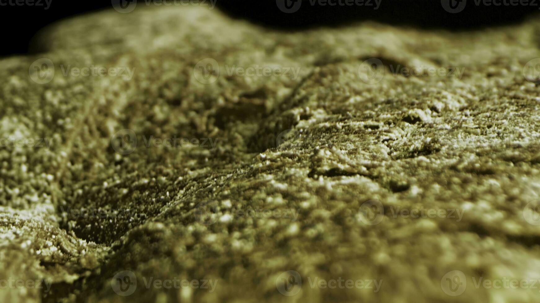 Freshly baked traditional bread with cereal. Stock footage. Close up of delicious bread loaf with grains and flakes and crispy crust, cooking concept. photo