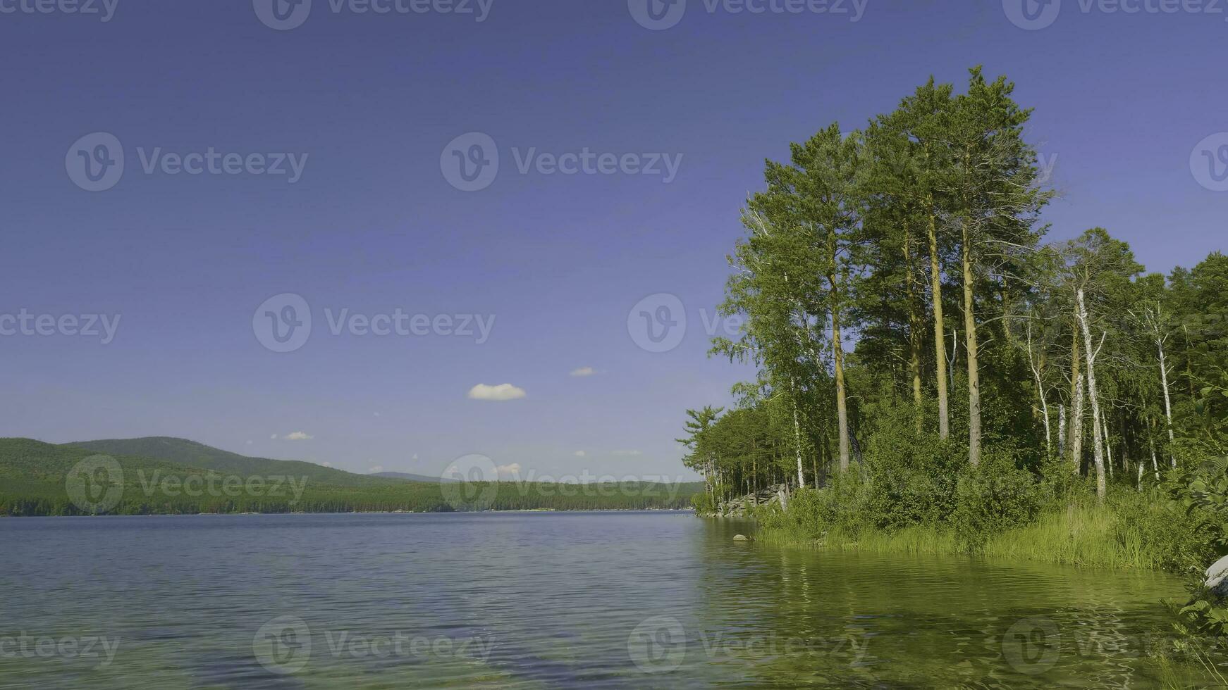 hermosa azul claro agua en el apuntalar de el lago. bosque paisaje a costa reflejado en agua foto