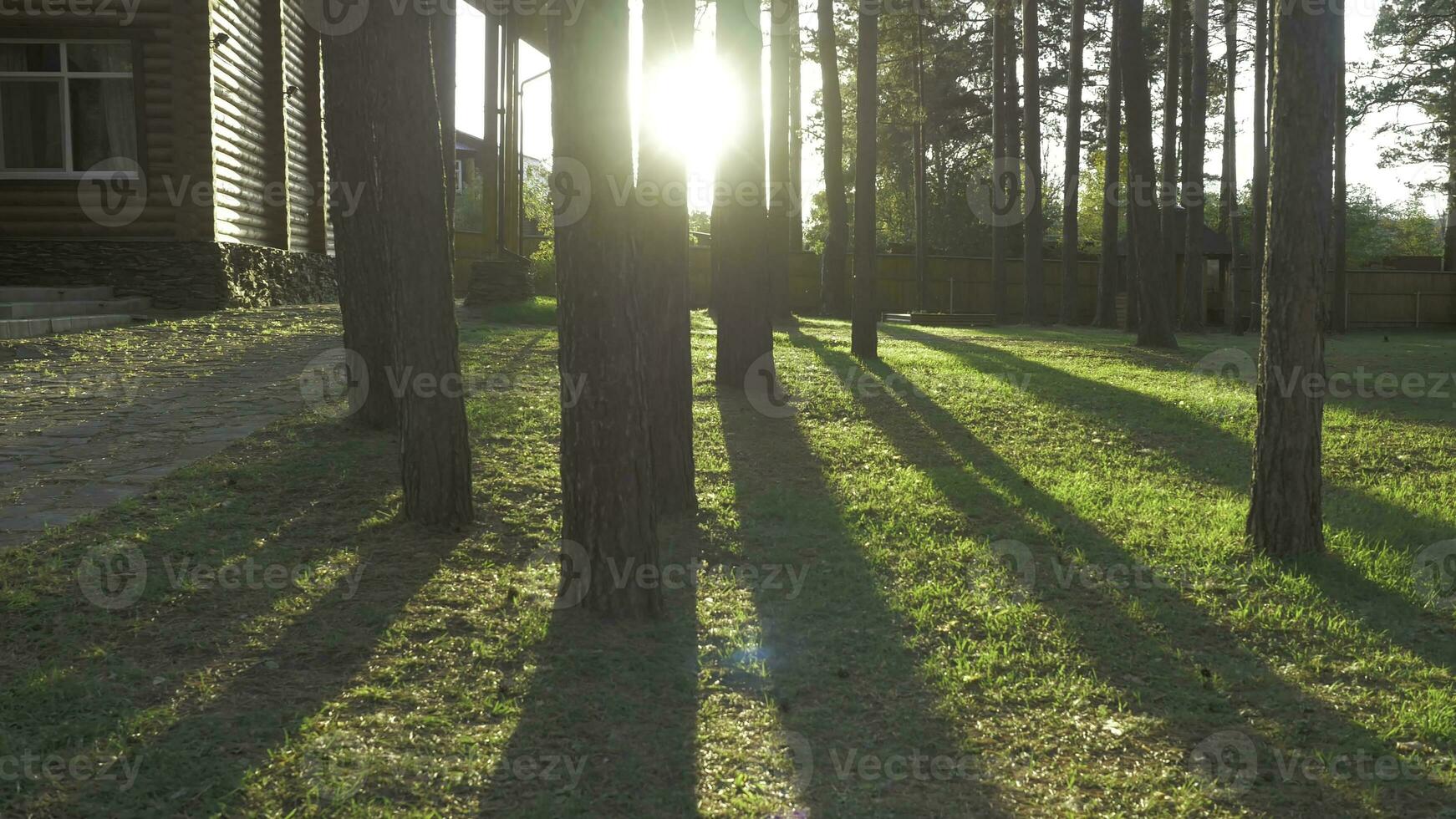 Beautiful decorated ornate home garden pathway with trees hedges grass. Lovely back yard on a Sunny day photo