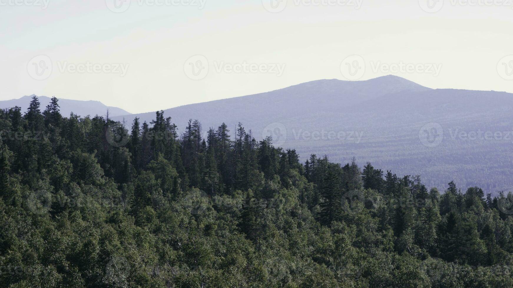 Majestic panorama of green mountains with sunny beams. Mountains in early morning mist. summer landscape. Fog from conifer forest surrounds the mountain top in sunset light photo