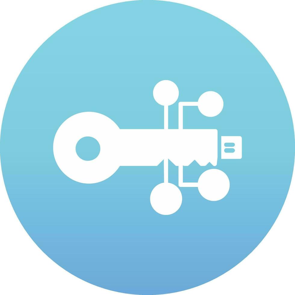 digital key Vector Icon