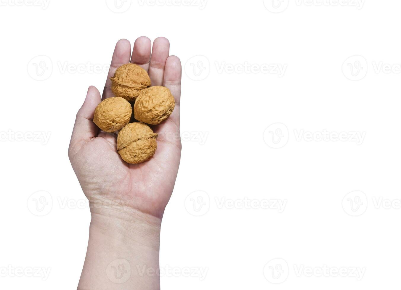 Man holding walnuts on white background photo