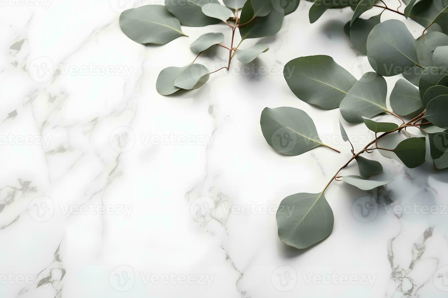 AI generated Branches of eucalyptus leaves on a marble background photo