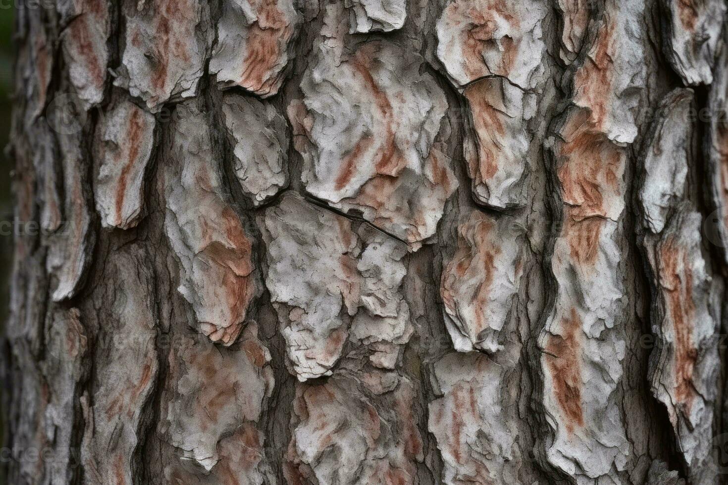 AI generated textured background of old pine wood, with large elements of bark and the resin drips photo