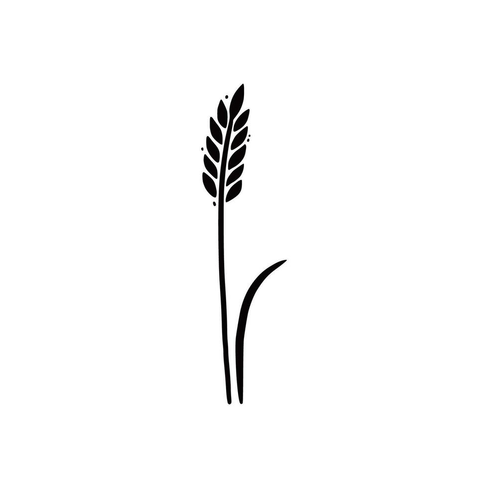 Wheat, barley, rice icon. Hand drawn vector