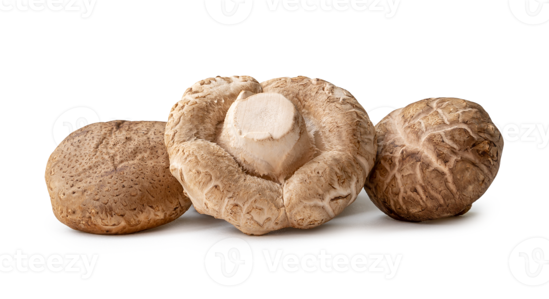 Fresh and dry shiitake mushrooms in stack or pile isolated with clipping path and shadow in png file format