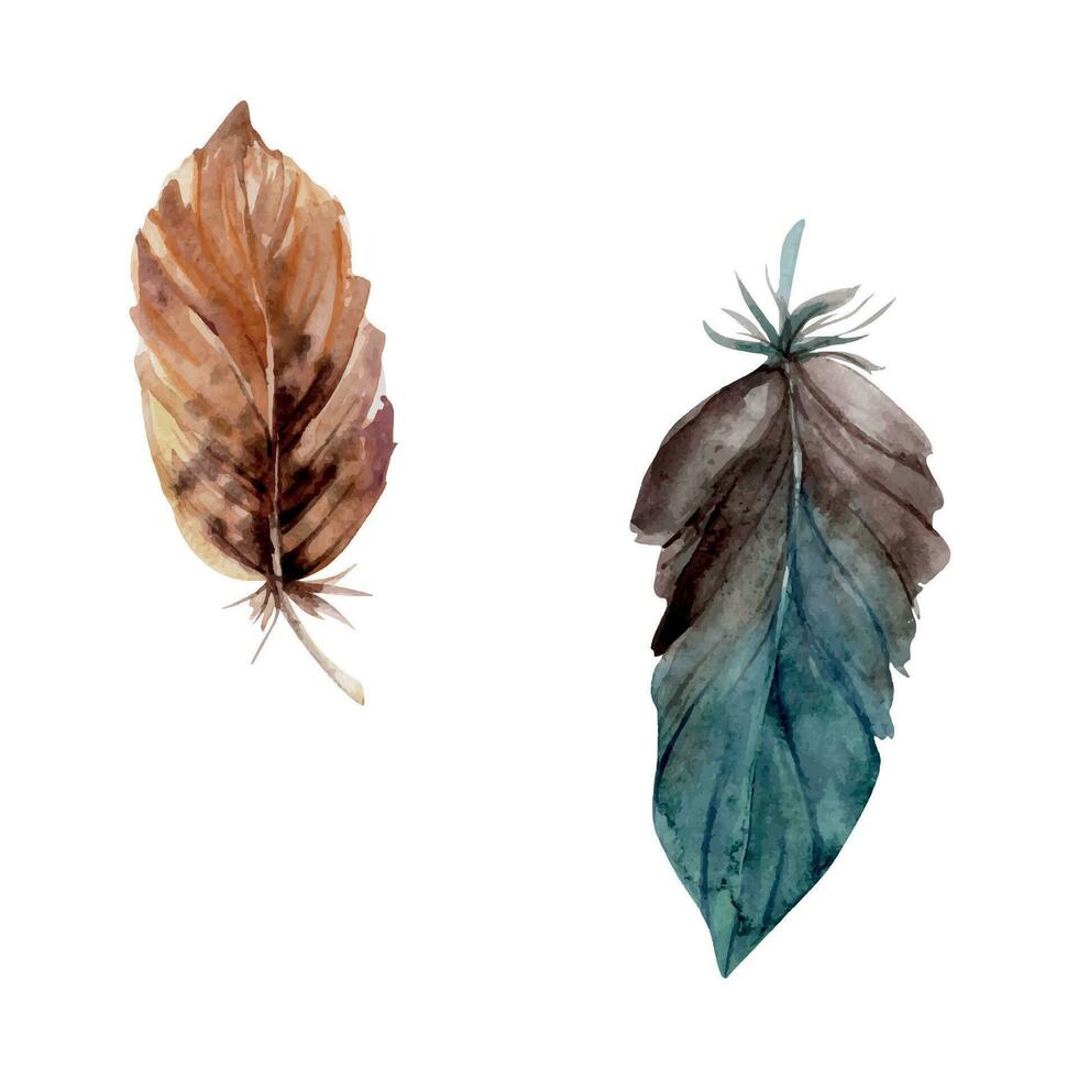 Hand drawn watercolor bird feather plume quill boho tribal ethnic indian brown. Single object isolated on white background. Design for charm, amulet, dreamcatcher, scrapbooking, handmade craft, tattoo vector