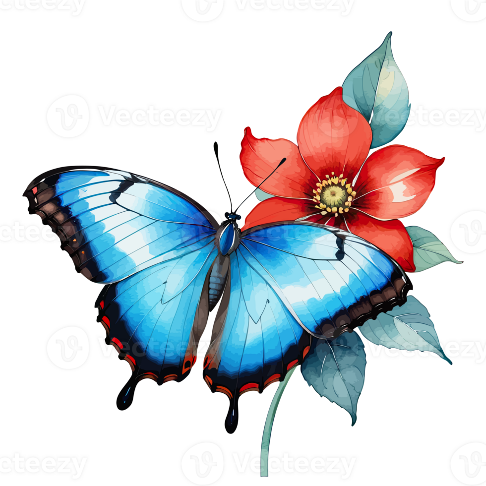 aguarela clipart lindo azul morfo borboleta em vermelho flor png