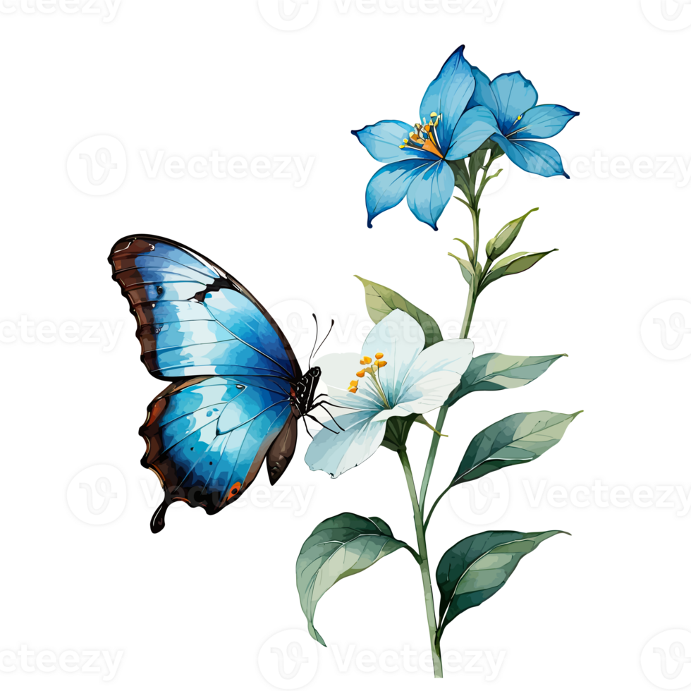 aguarela clipart azul morfo borboleta em azul flor png