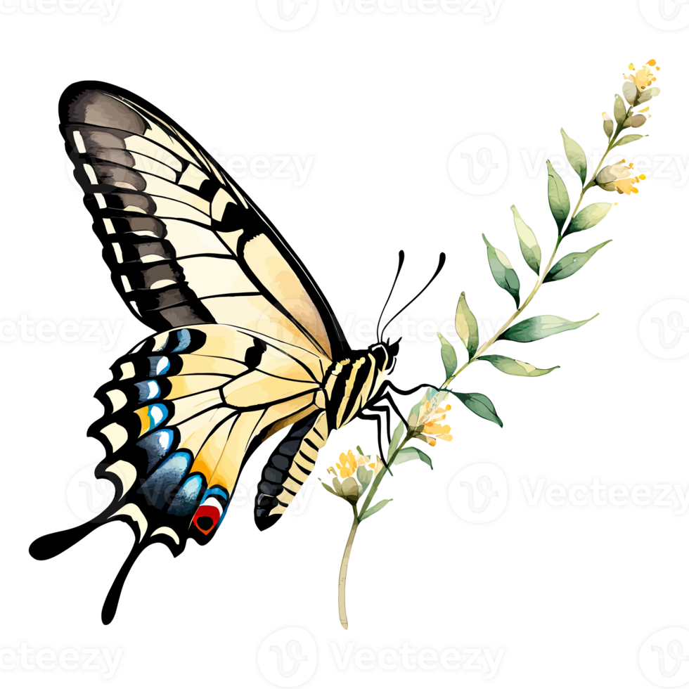 acuarela clipart Tigre cola de golondrina mariposa en flor png