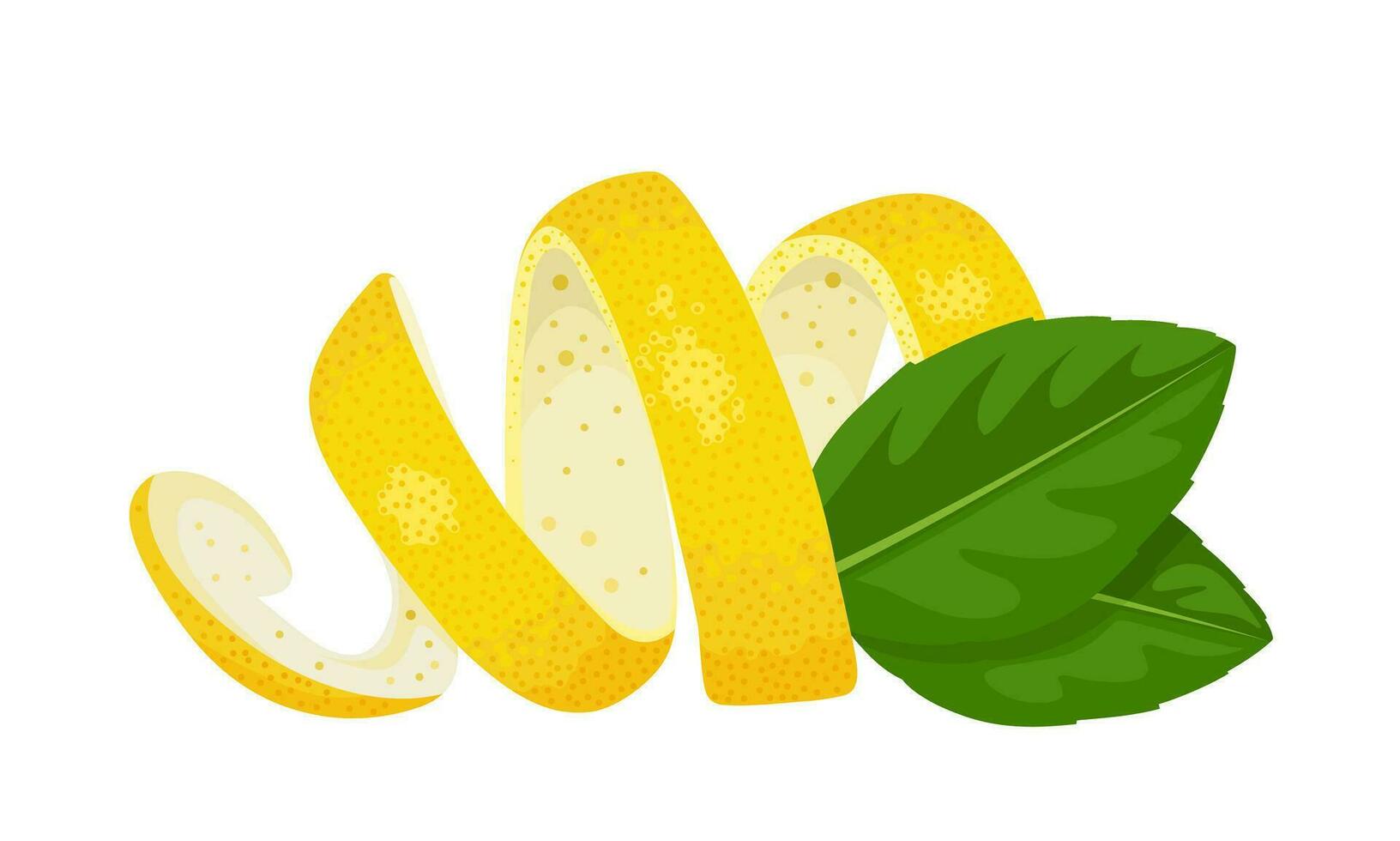 Vector illustration, lemon peel with green leaves, isolated on white background.