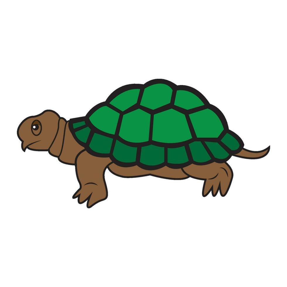 turtle icon logo vector design template