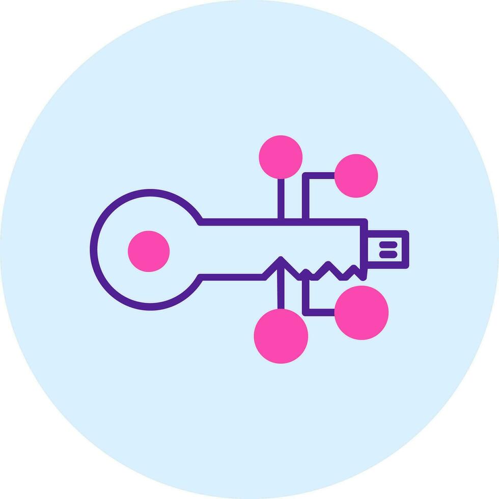 digital key Vector Icon