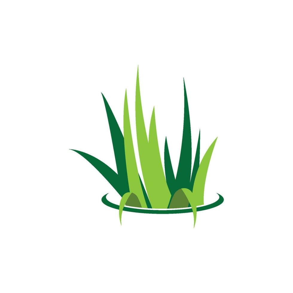 Grass logo vector template