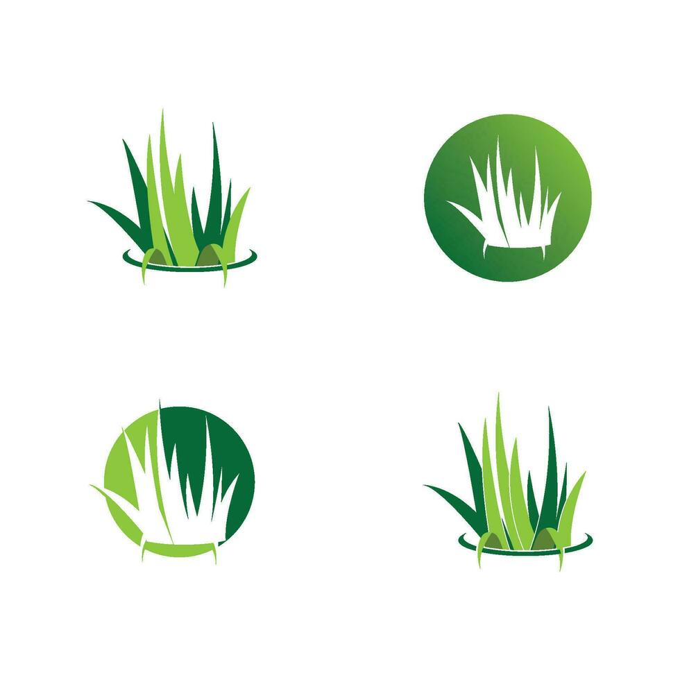 plantilla de vector de logotipo de hierba