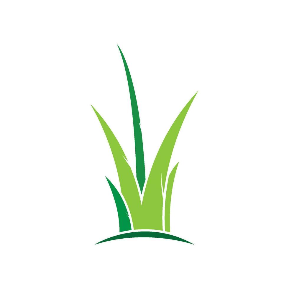 plantilla de vector de logotipo de hierba