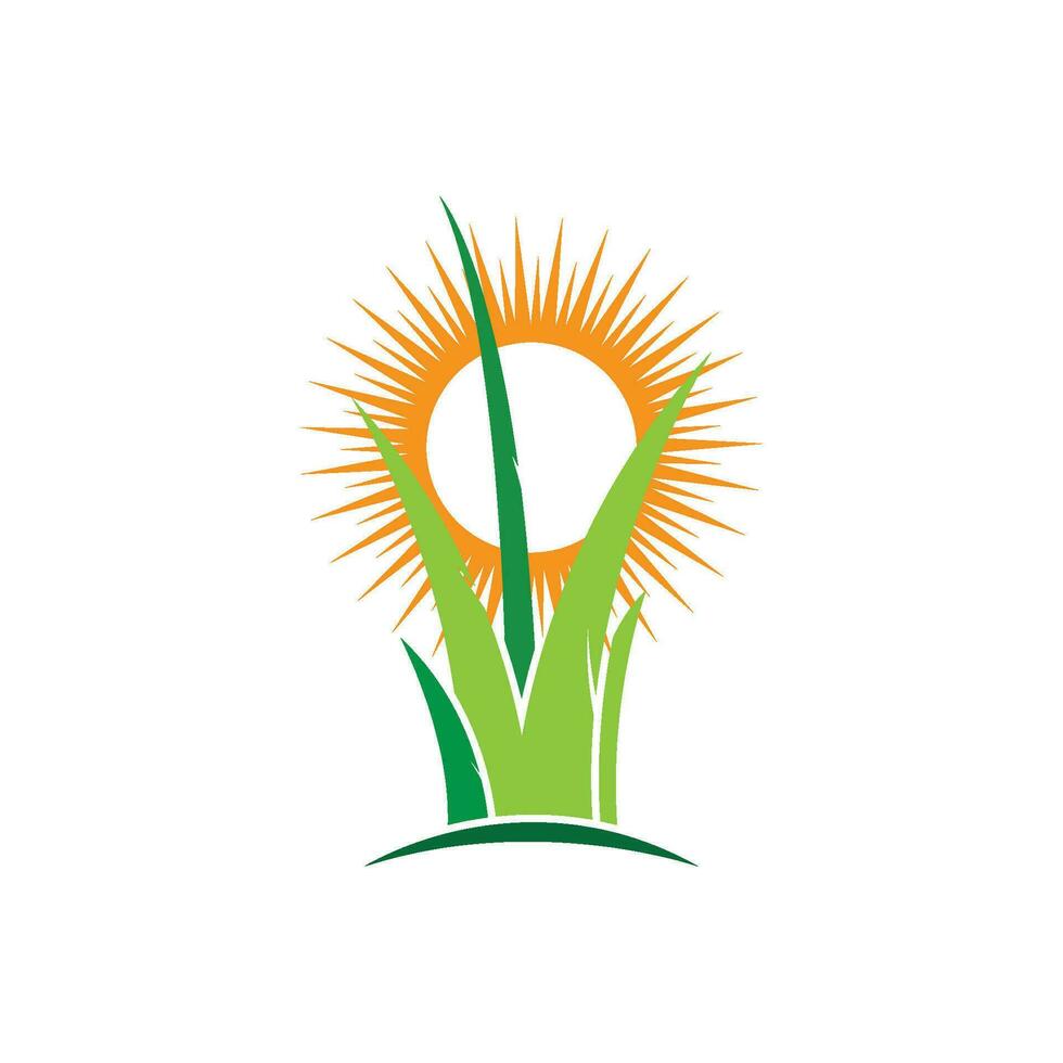 plantilla de vector de logotipo de hierba