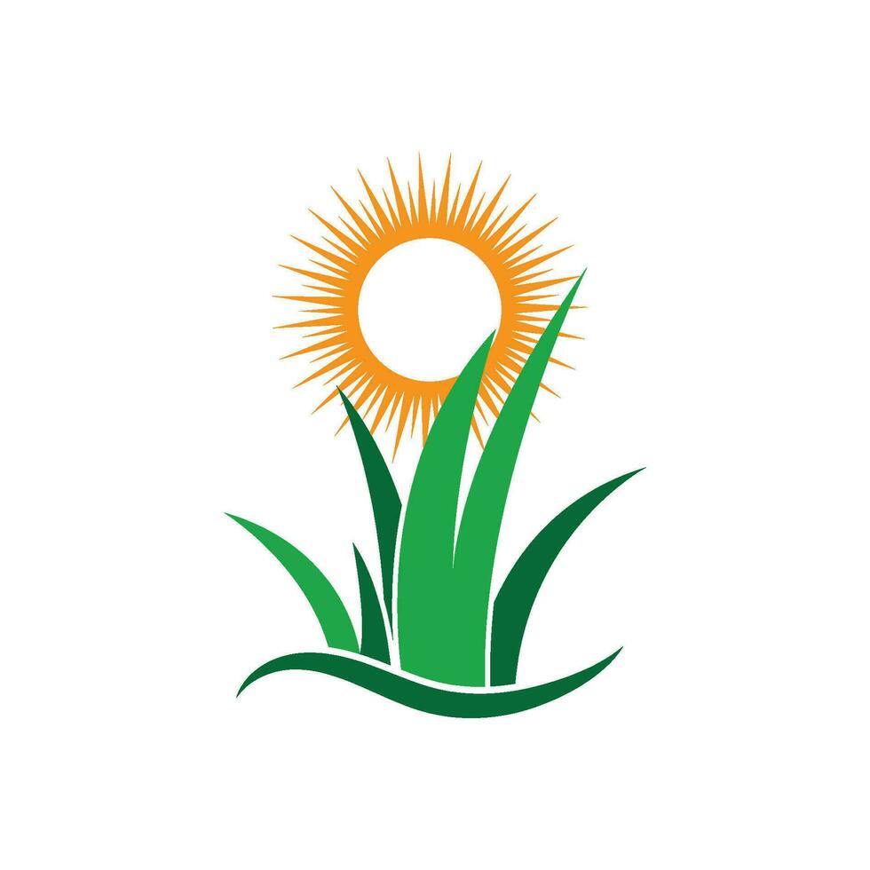 plantilla de vector de logotipo de hierba