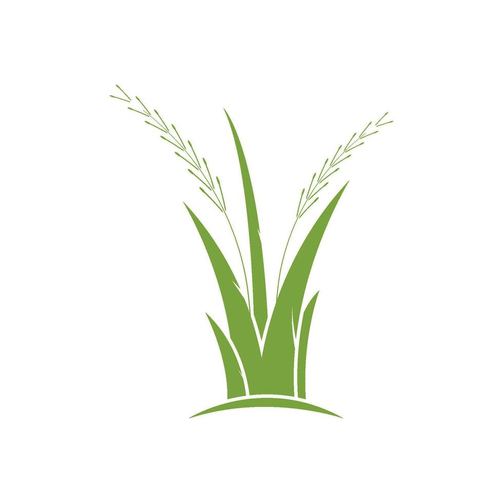 Grass logo vector template