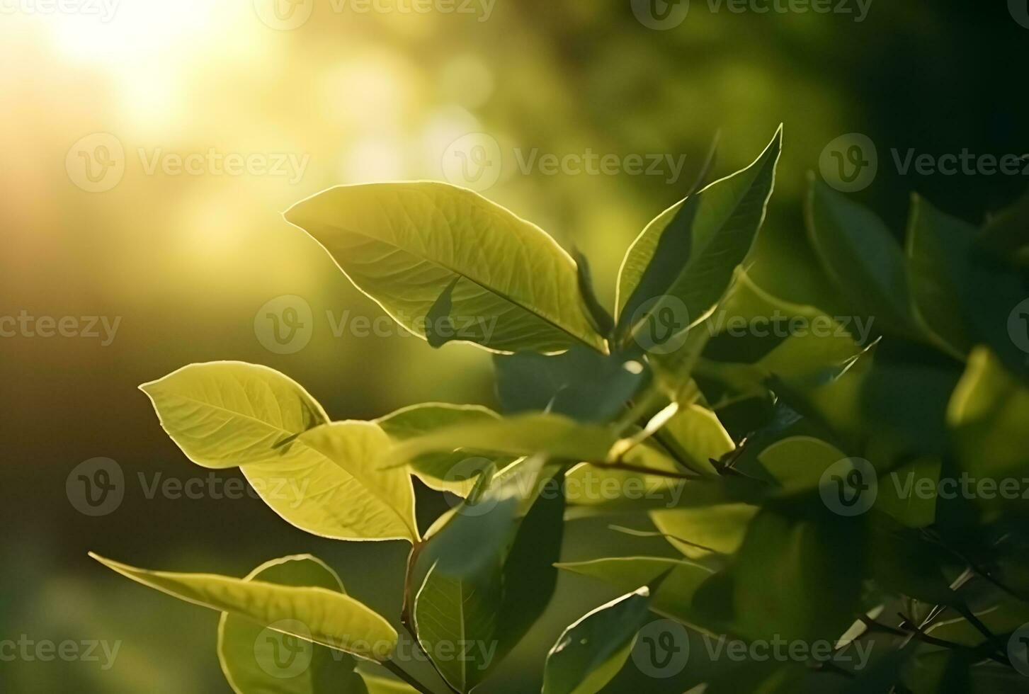 AI generated Fresh green leaf with sunlight on blurred greenery background. Natural green leaves bokeh. photo