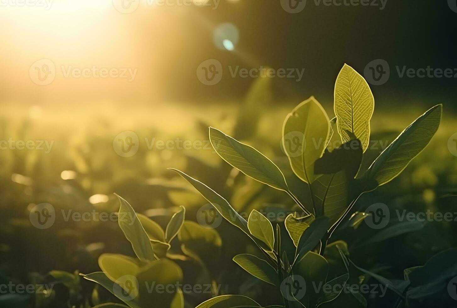 AI generated Fresh green leaf with sunlight on blurred greenery background. Natural green leaves bokeh. photo