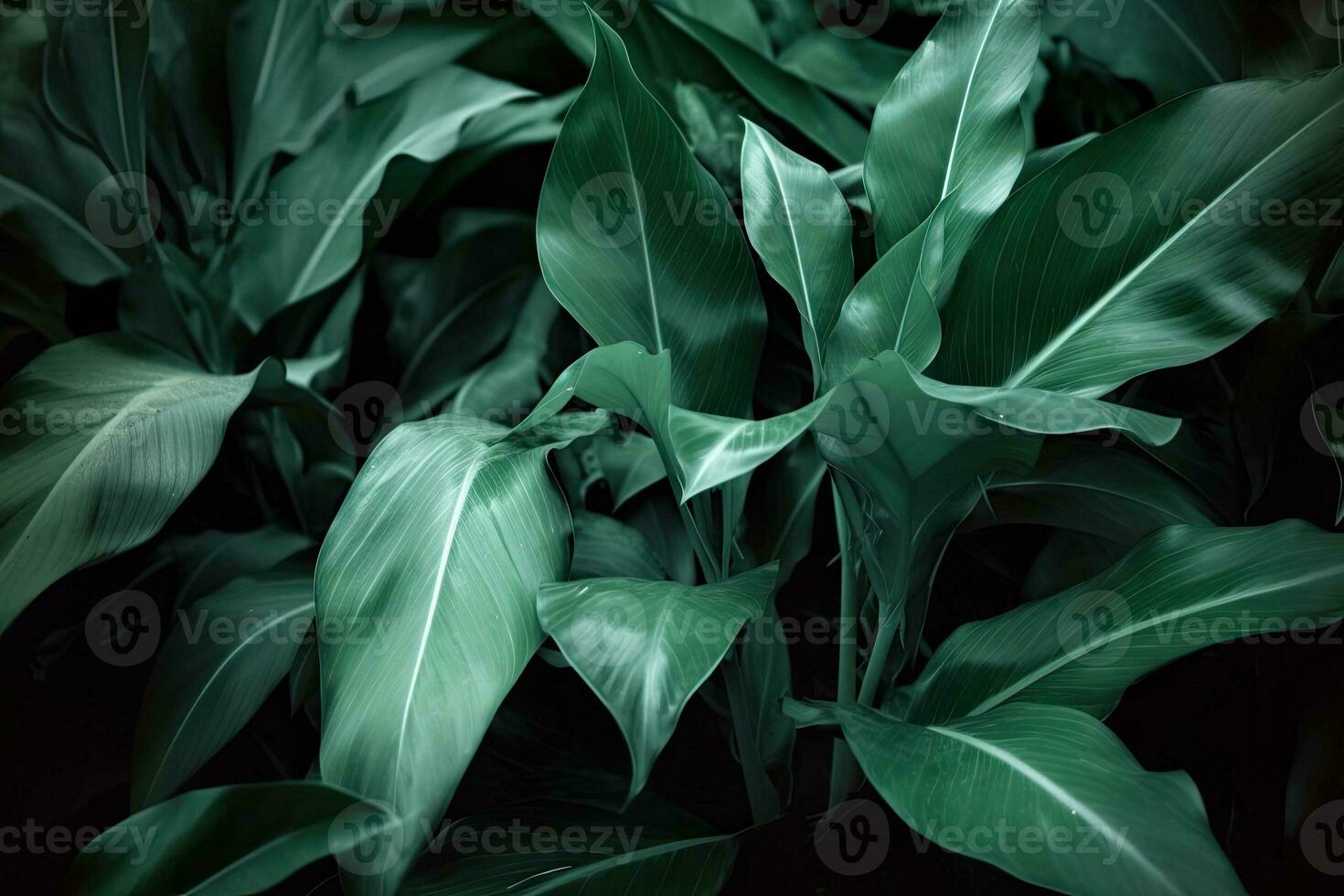 AI generated green leaf texture, dark green foliage nature background, tropical leaf photo