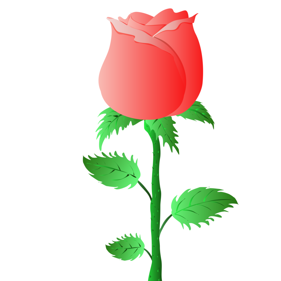 a single rose on a stem with leaves png