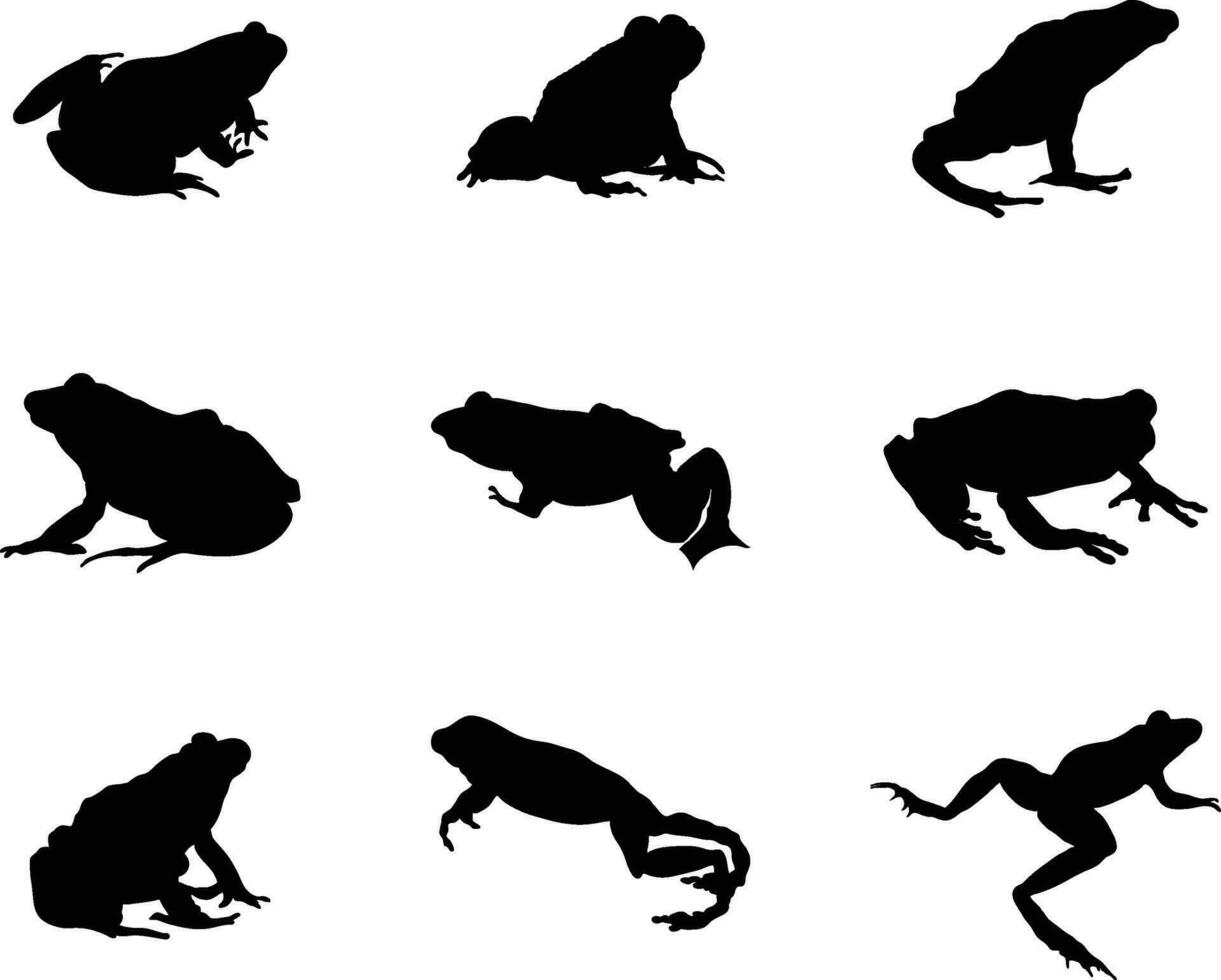 A collection of frogs in a different positions vector