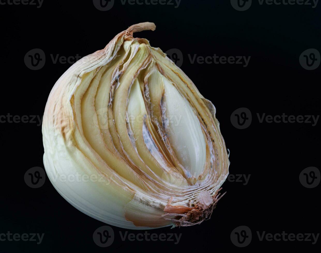 Half of a rotten and onion on a black background. Rotten and moldy onions. photo