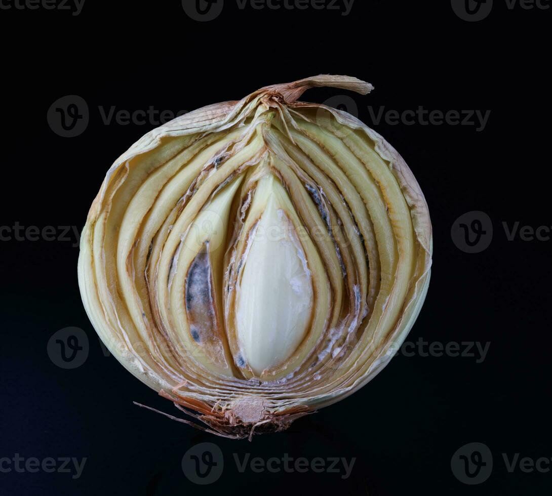 Half of a rotten and onion on a black background. Rotten and moldy onions. photo