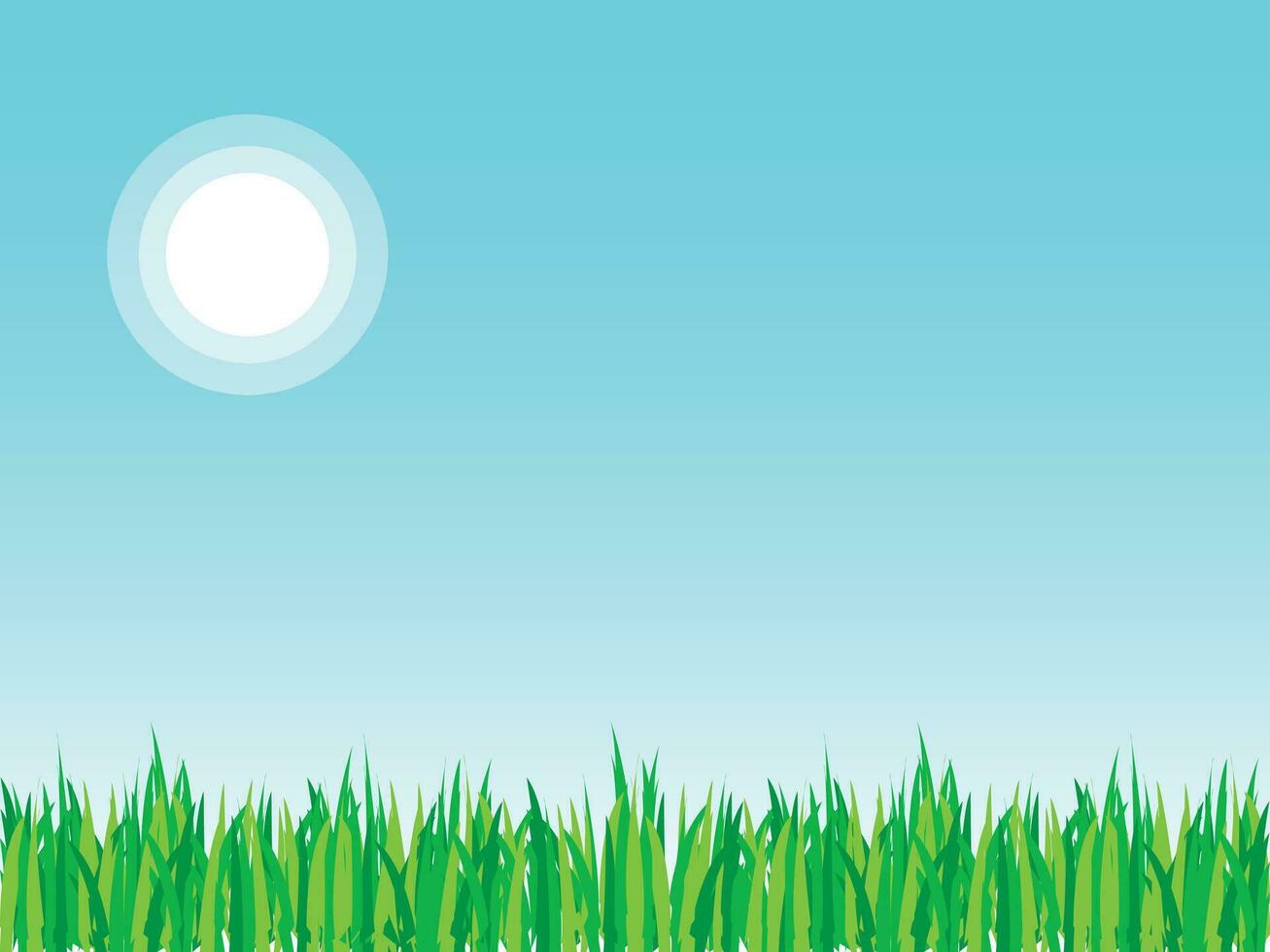 Green landscape meadow outdoor with grass background vector