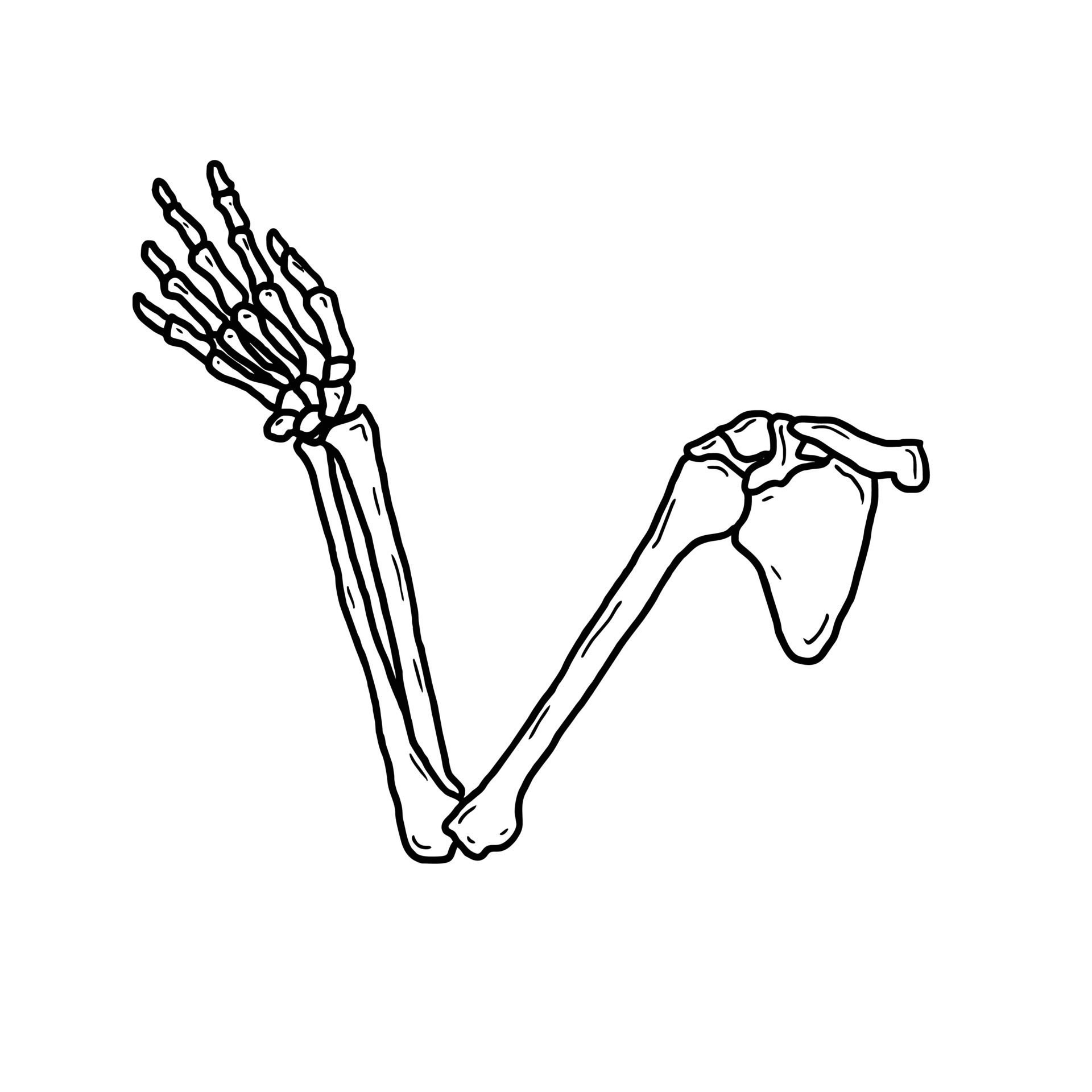 hand drawn arm bone vector illustration 36887603 Vector Art at Vecteezy