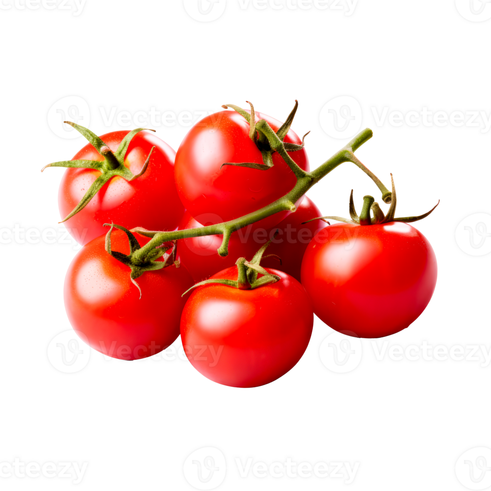 AI generated Vibrant cluster of ripe tomatoes on a branch, PNG with transparent background, perfect for design use.