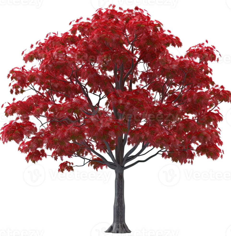 AI generated a red tree with leaves on it png