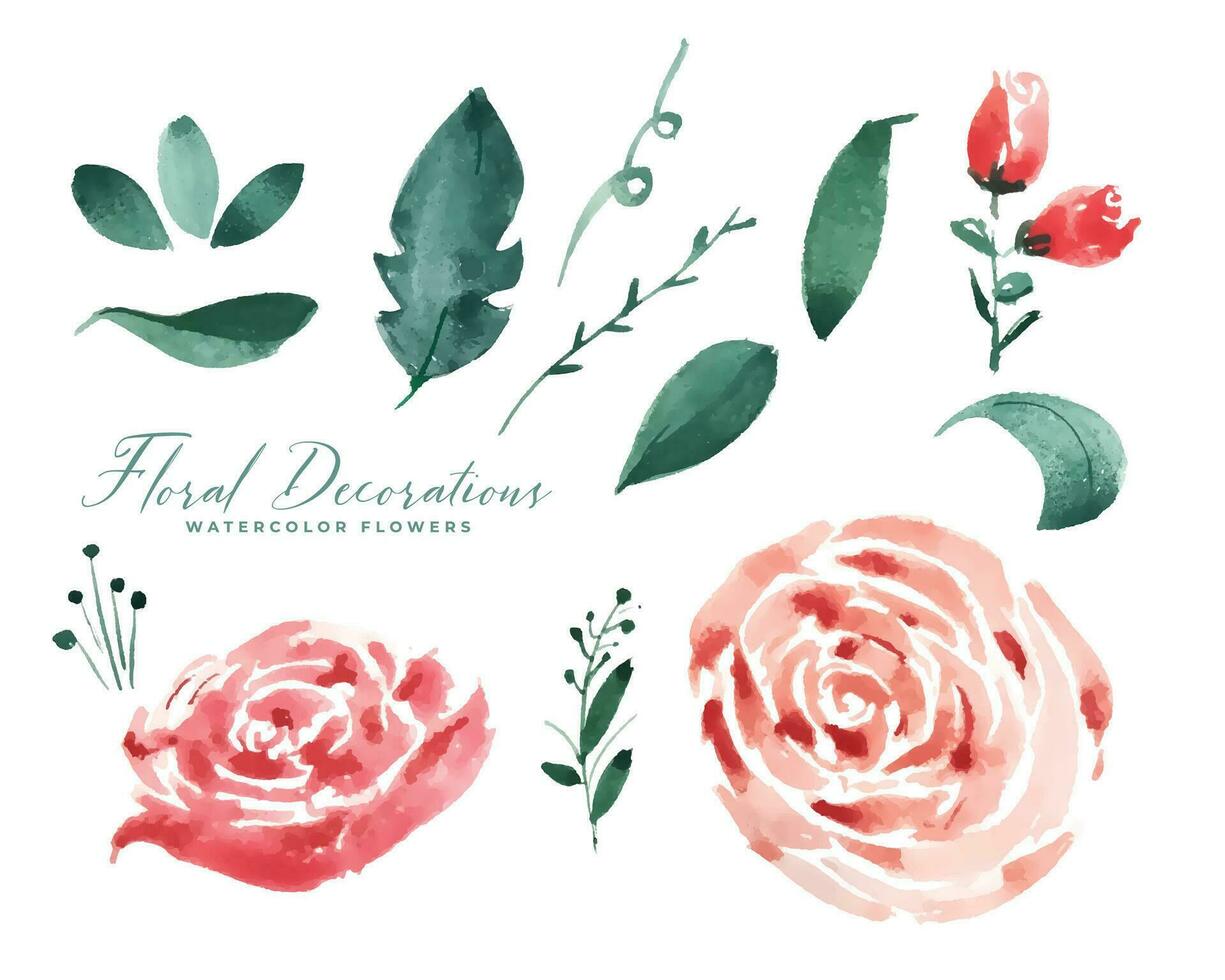 rose watercolor flower decoration elements collection vector