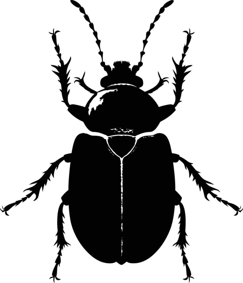 AI generated Silhouette insect or bug full body black color only vector