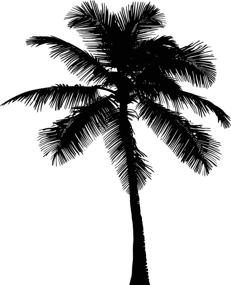 AI generated silhouette coconut tree black color only vector